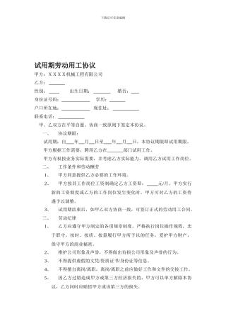 试用期劳动用工协议
