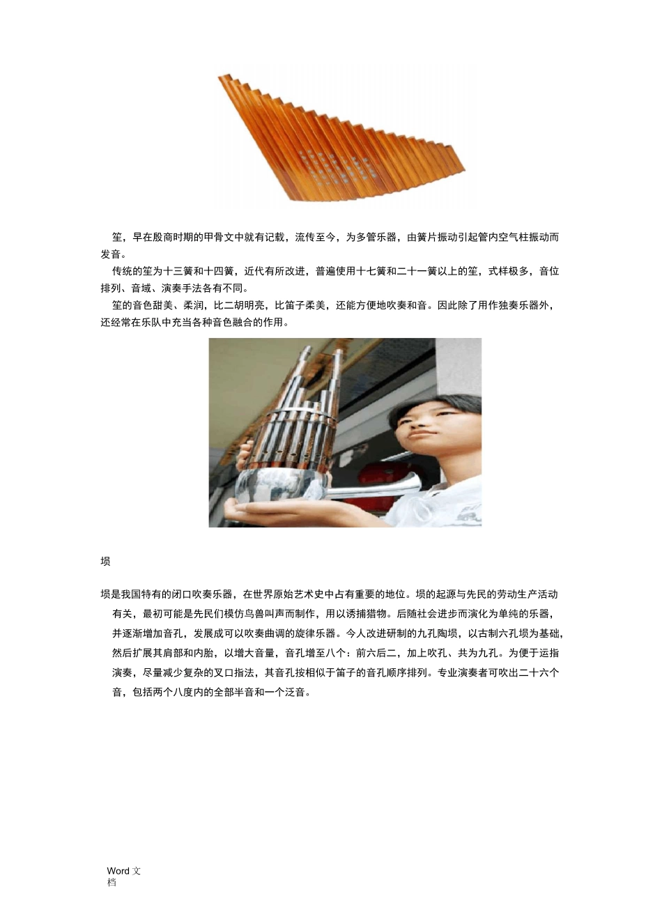 中国民族乐器与西洋乐器_第2页