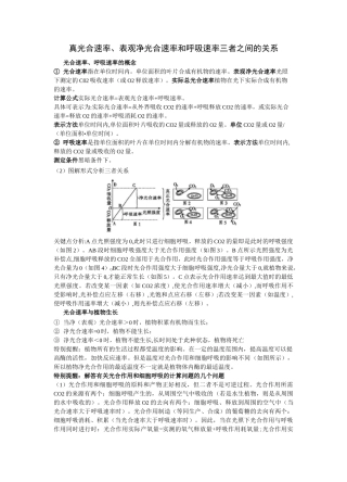 真光合速率、表观(净)光合速率和呼吸速率三者之间的关系