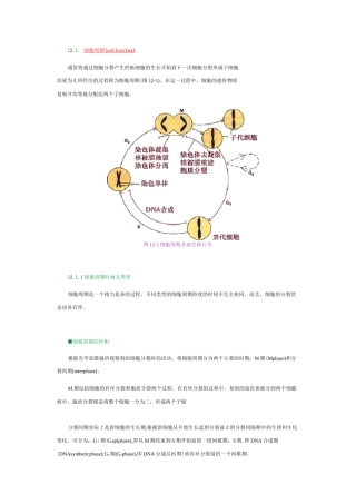 细胞周期与细胞分裂