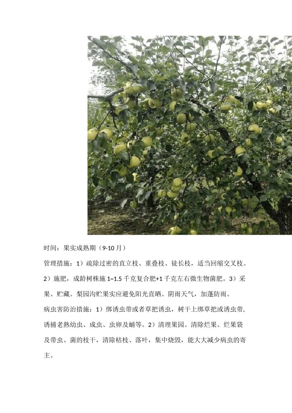 梨树全年管理用药方案_第2页