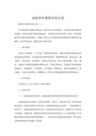 高校青年教师培养计划