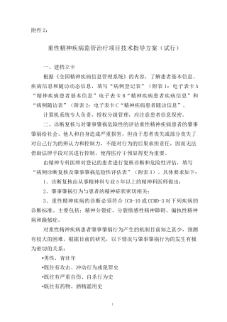 重性精神病监管治疗项目技术指导方案