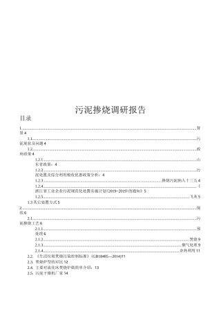 污泥掺烧调研报告