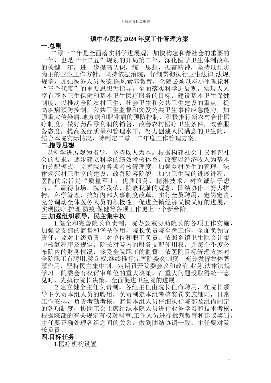 镇中心医院-2024年度工作管理方案_第1页