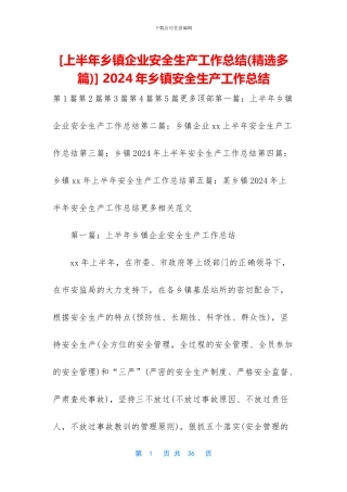 -2024年乡镇安全生产工作总结