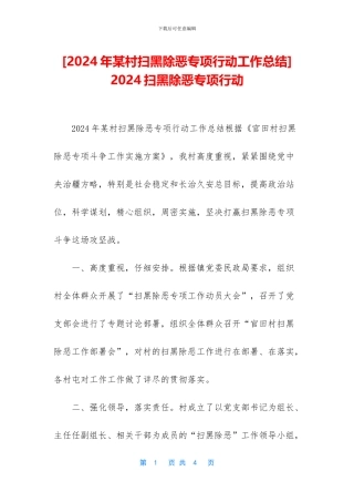 -2024扫黑除恶专项行动