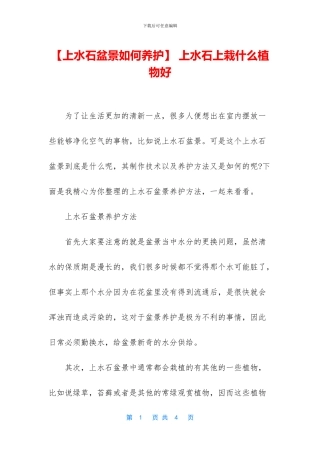 -上水石上栽什么植物好