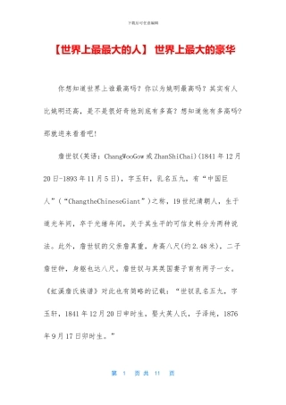 -世界上最大的豪华