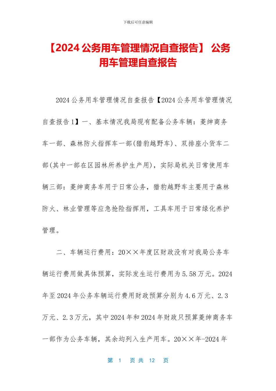 -公务用车管理自查报告_第1页