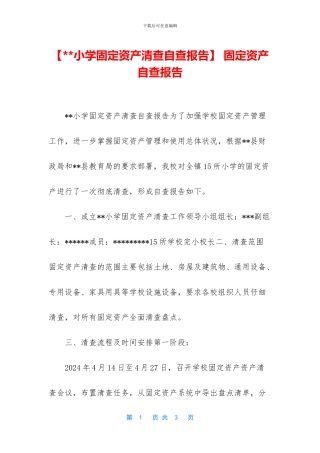 -固定资产自查报告