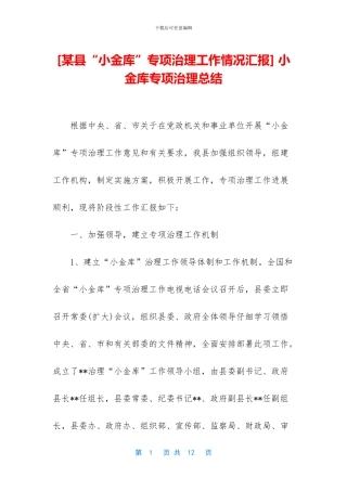 -小金库专项治理总结