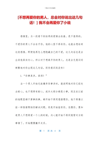 -我不会再爱你了小说