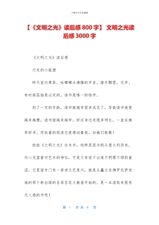 -文明之光读后感3000字