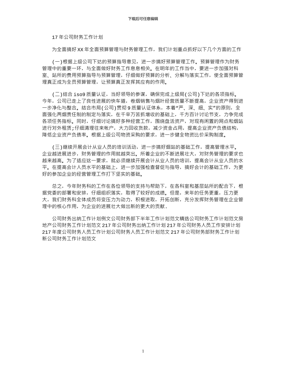 17年公司财务工作计划_第1页
