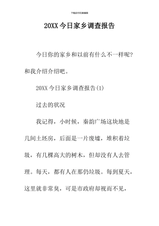 2024今日家乡调查报告