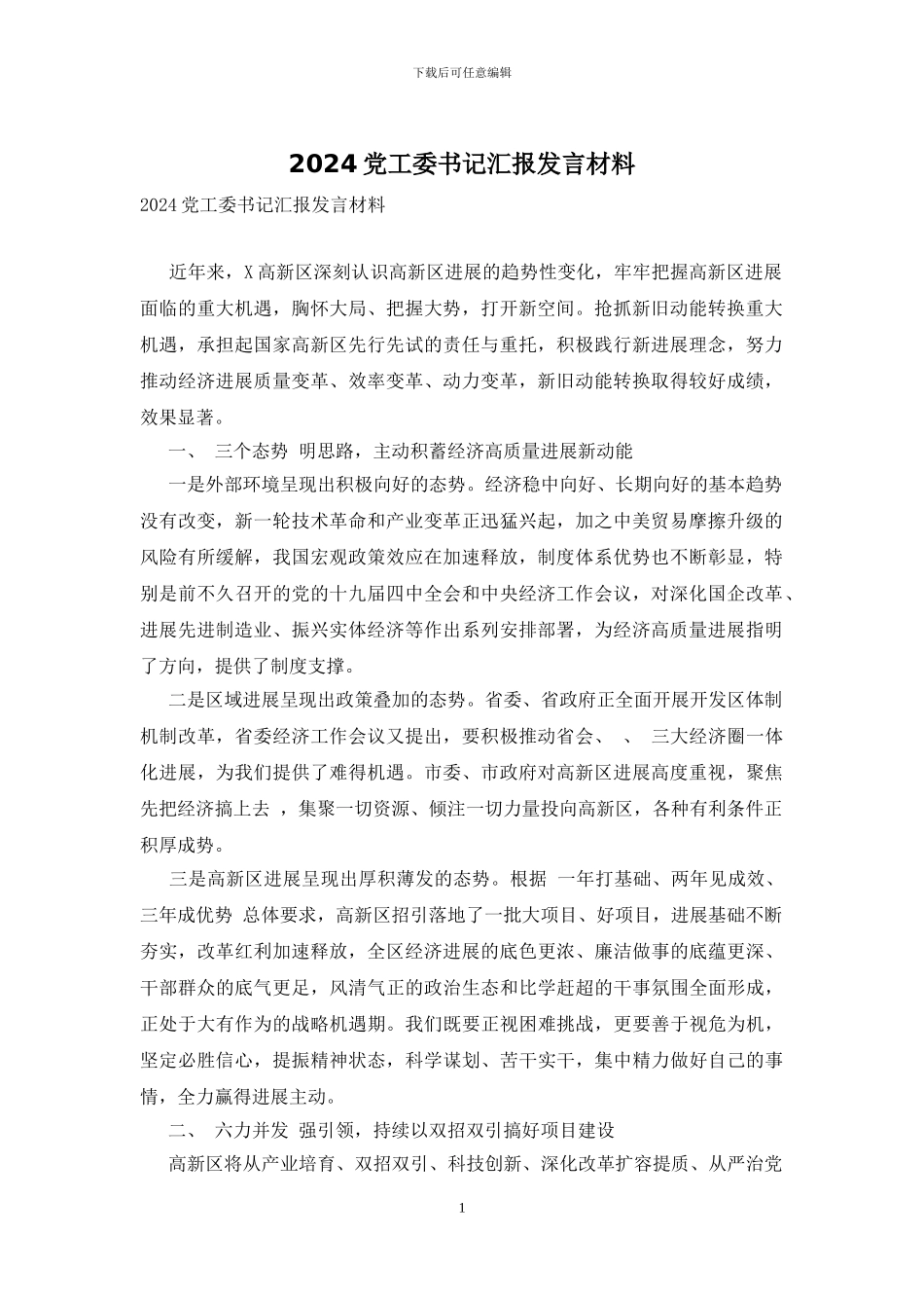 2024党工委书记汇报发言材料_第1页