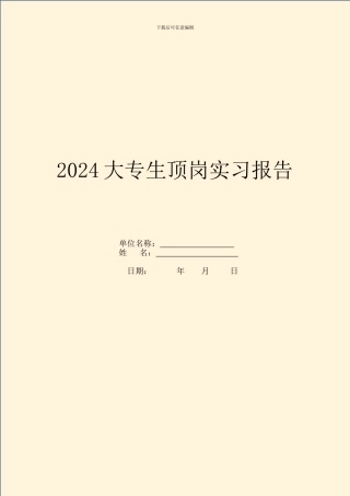 2024大专生顶岗实习报告