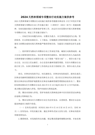 2024天然林领域专项整治行动实施方案供参考
