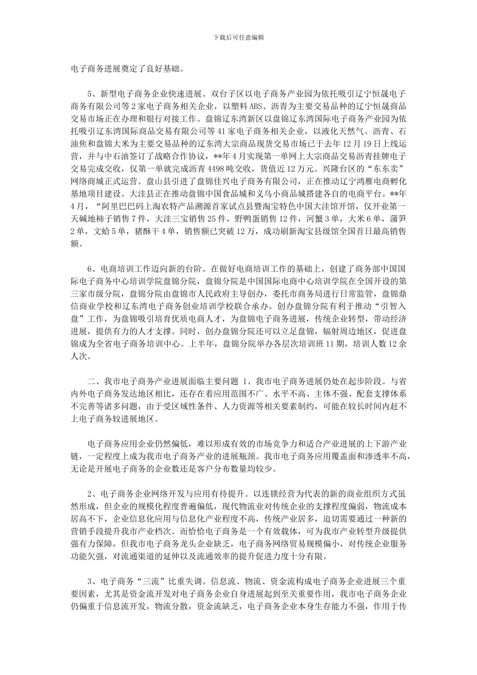 2024年-电子商务创业计划书_第2页