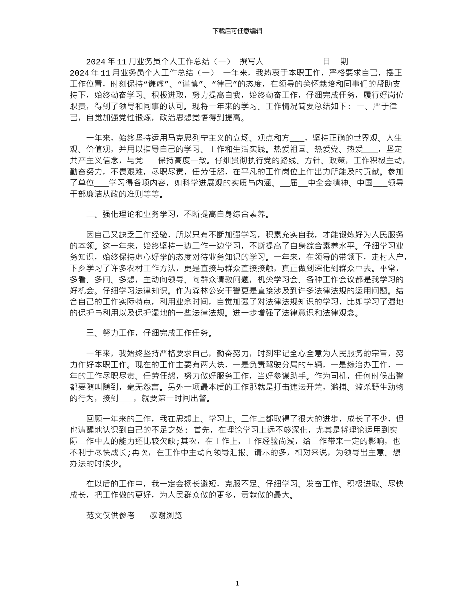 2024年11月业务员个人工作总结_第1页