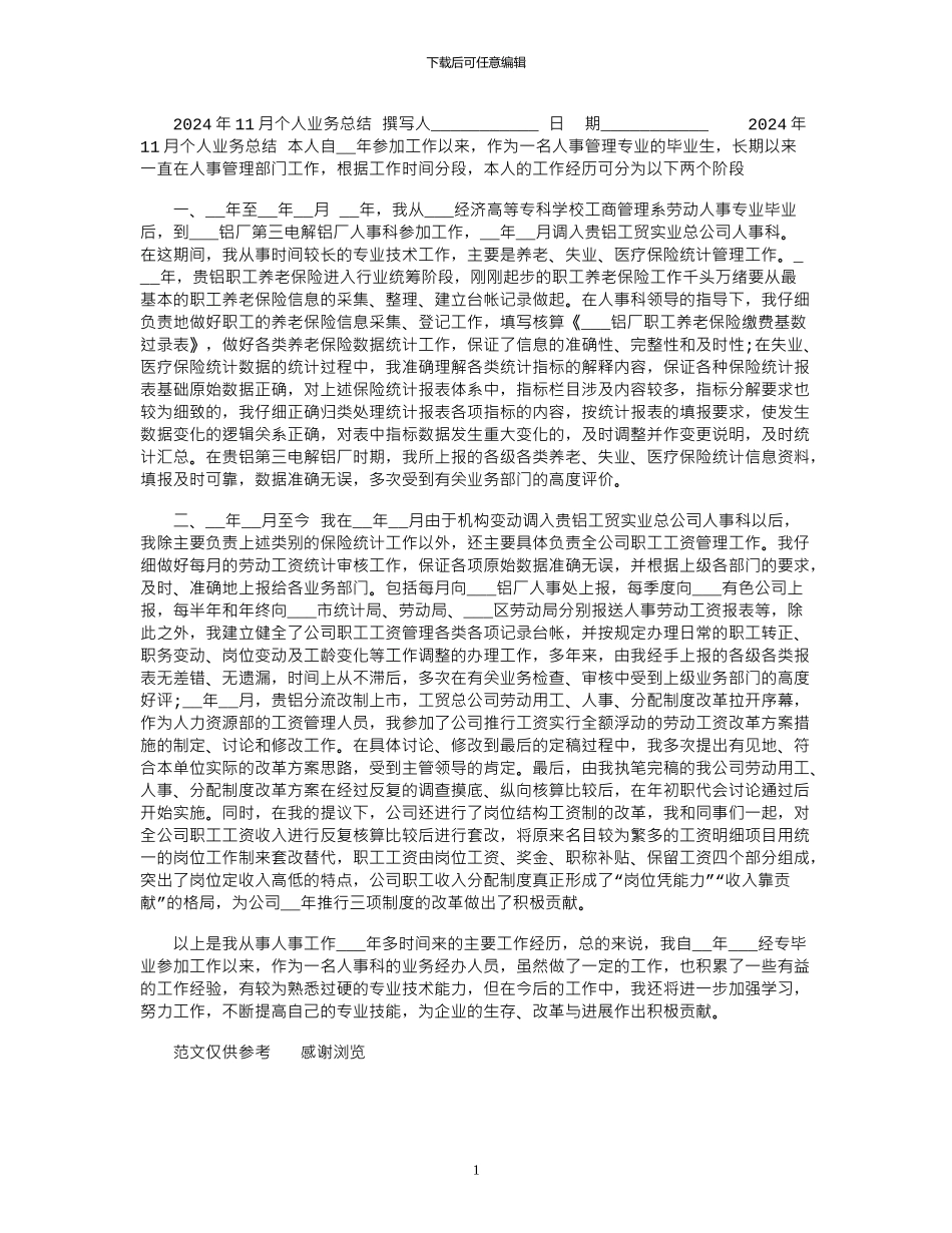 2024年11月个人业务总结_第1页