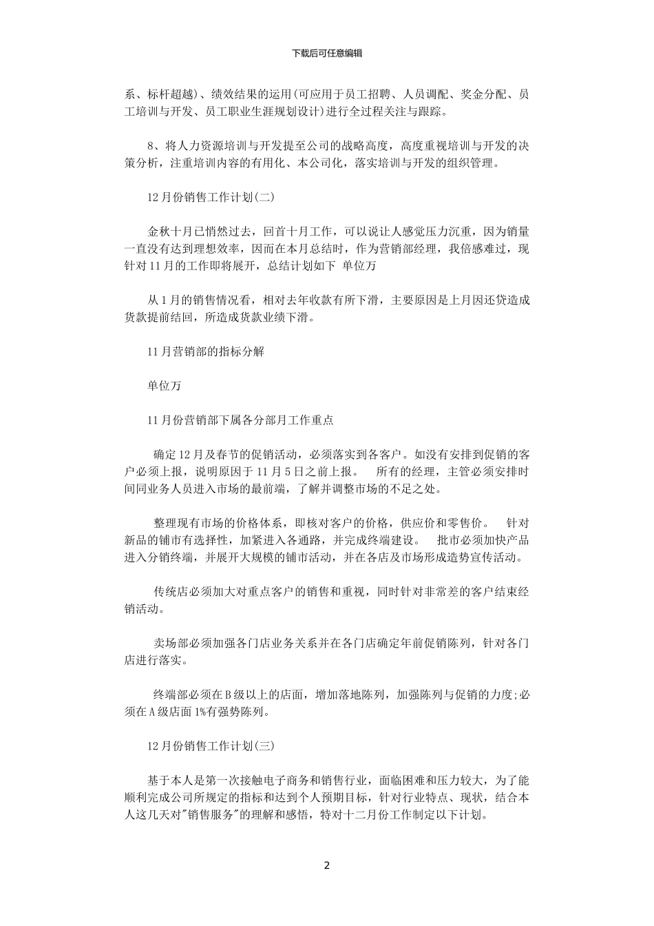 2024年11月份的销售工作计划_第2页