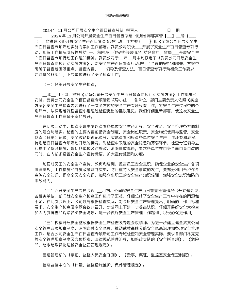2024年11月公司开展安全生产百日督查总结_第1页