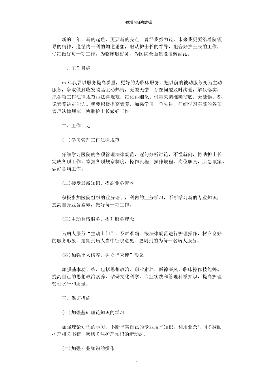 2024年11月护师工作计划范文_第1页