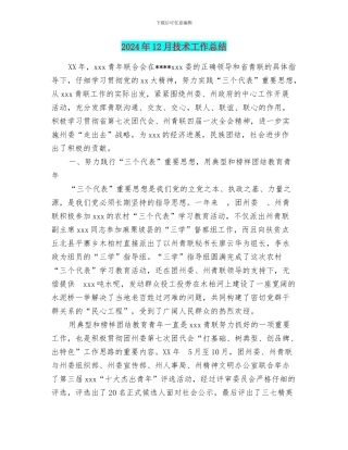 2024年12月技术工作总结