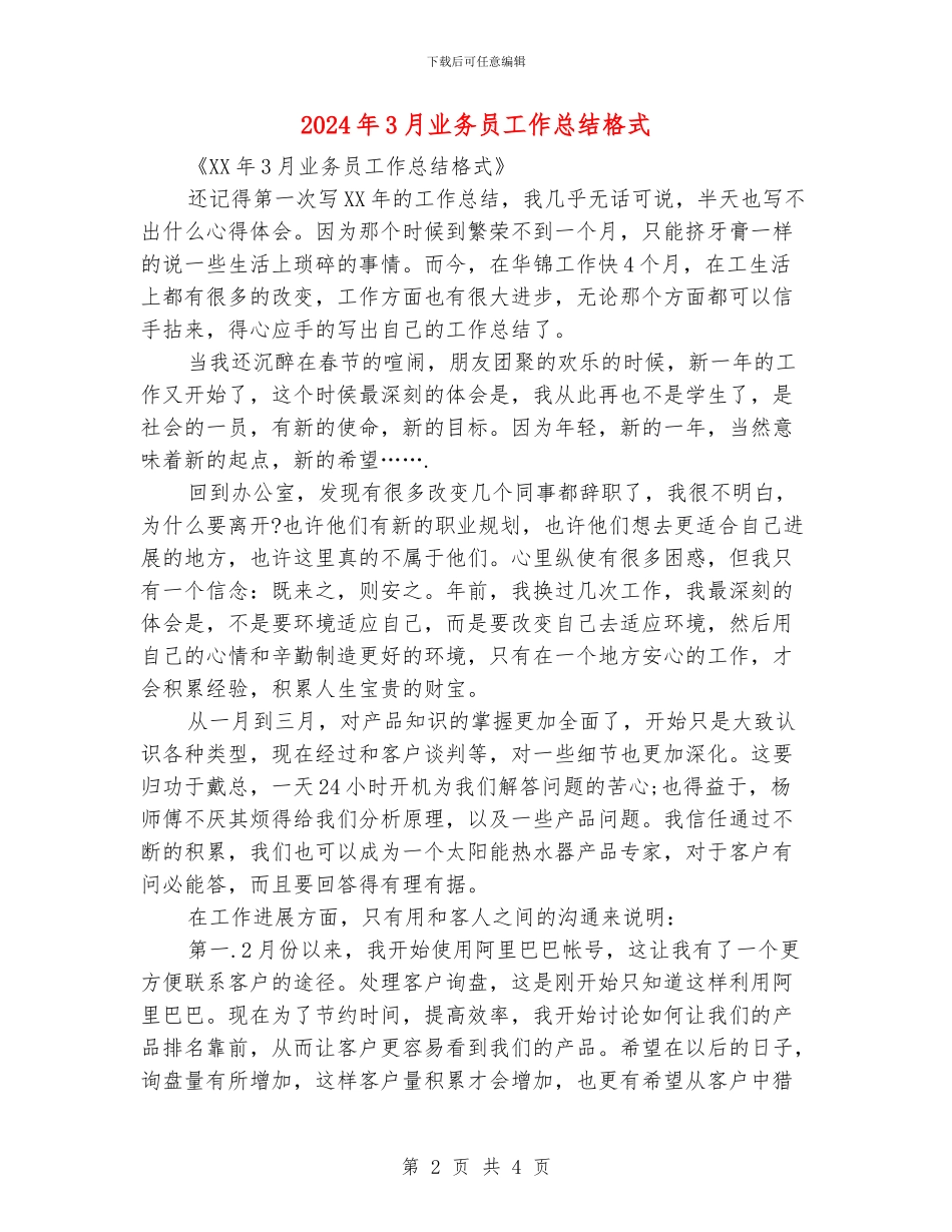 2024年3月业务员工作总结格式_第2页