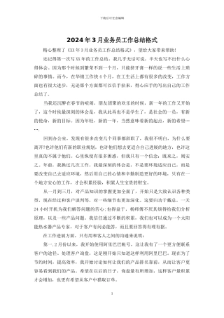 2024年3月业务员工作总结格式