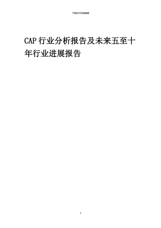 2024年CAP行业分析报告及未来五至十年行业发展报告