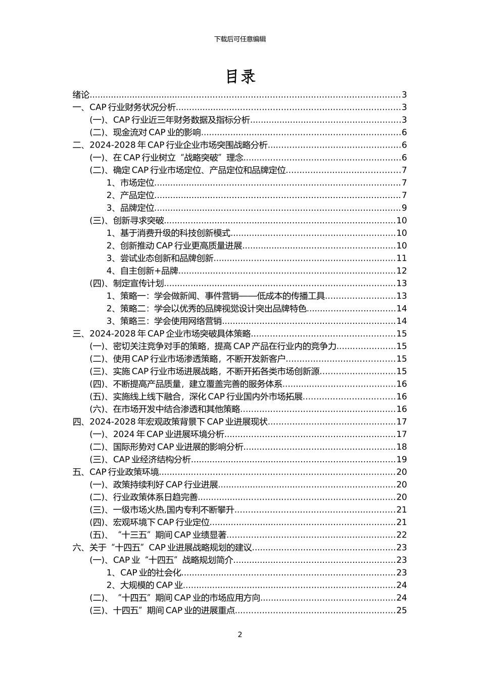 2024年CAP行业市场突围建议及需求分析报告_第2页