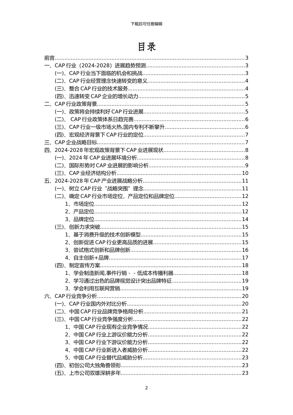 2024年CAP行业洞察报告及未来五至十年预测分析报告_第2页