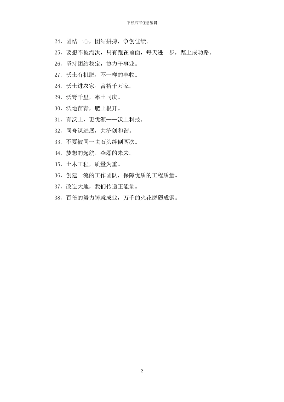 2024年IT企业的宣传口号集锦38句_第2页