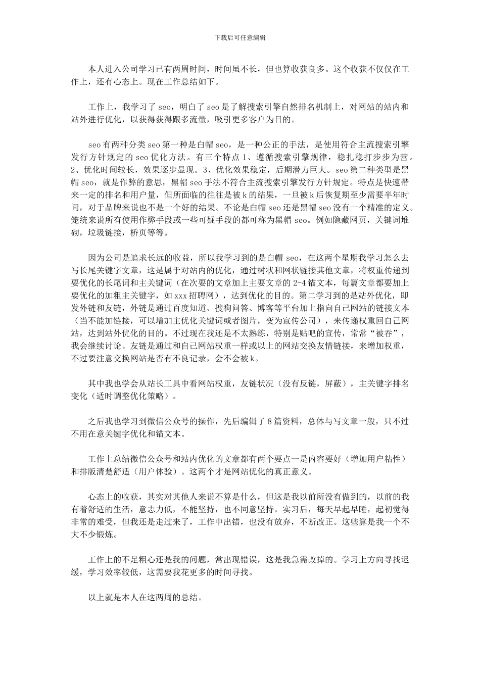 2024年seo实习工作总结_第1页