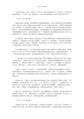 2024年《平安行·》观后感个人心得体会