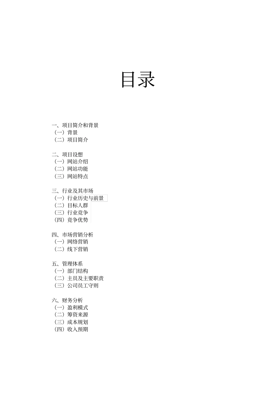 美搭网可行性研究报告_第2页