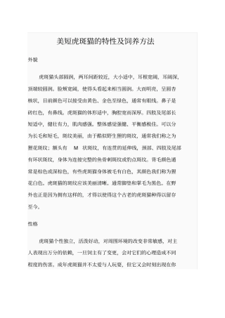 美短虎斑猫的习性及饲养方法