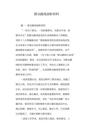 群众路线剖析材料