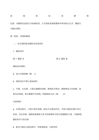 羽毛球教程初级