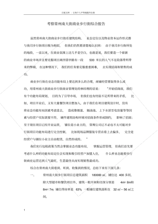 考察常州南大街商业步行街综合报告