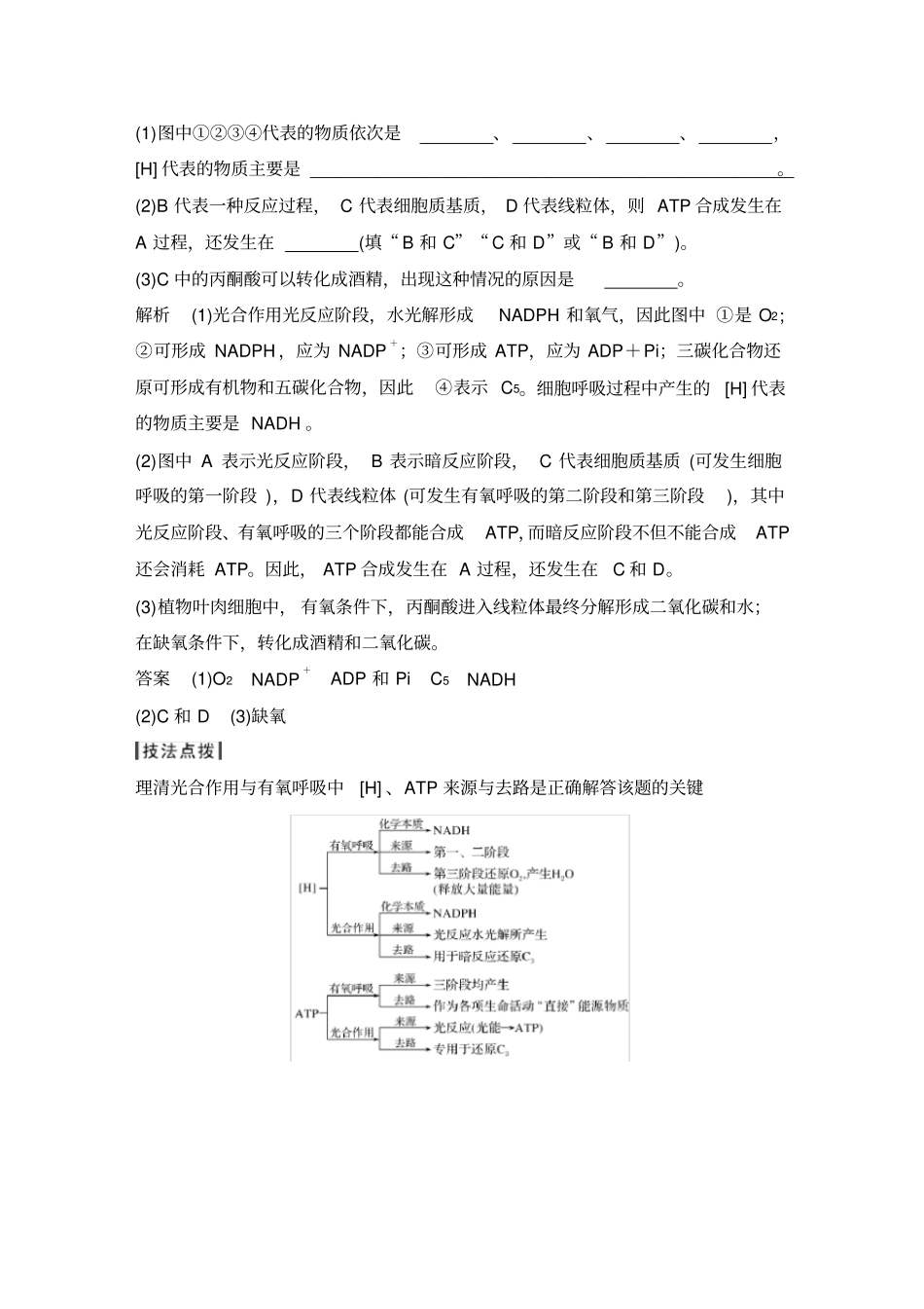 考点加强课1光合作用与呼吸作用的综合分析_第2页