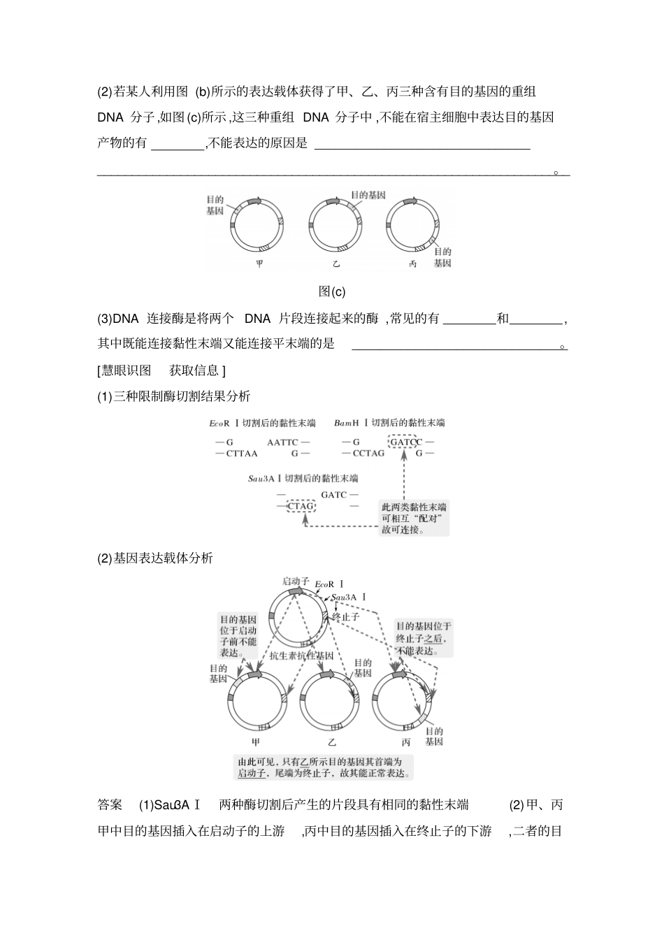 考点加强课5基因表达载体构建中限制酶的选择原则_第3页