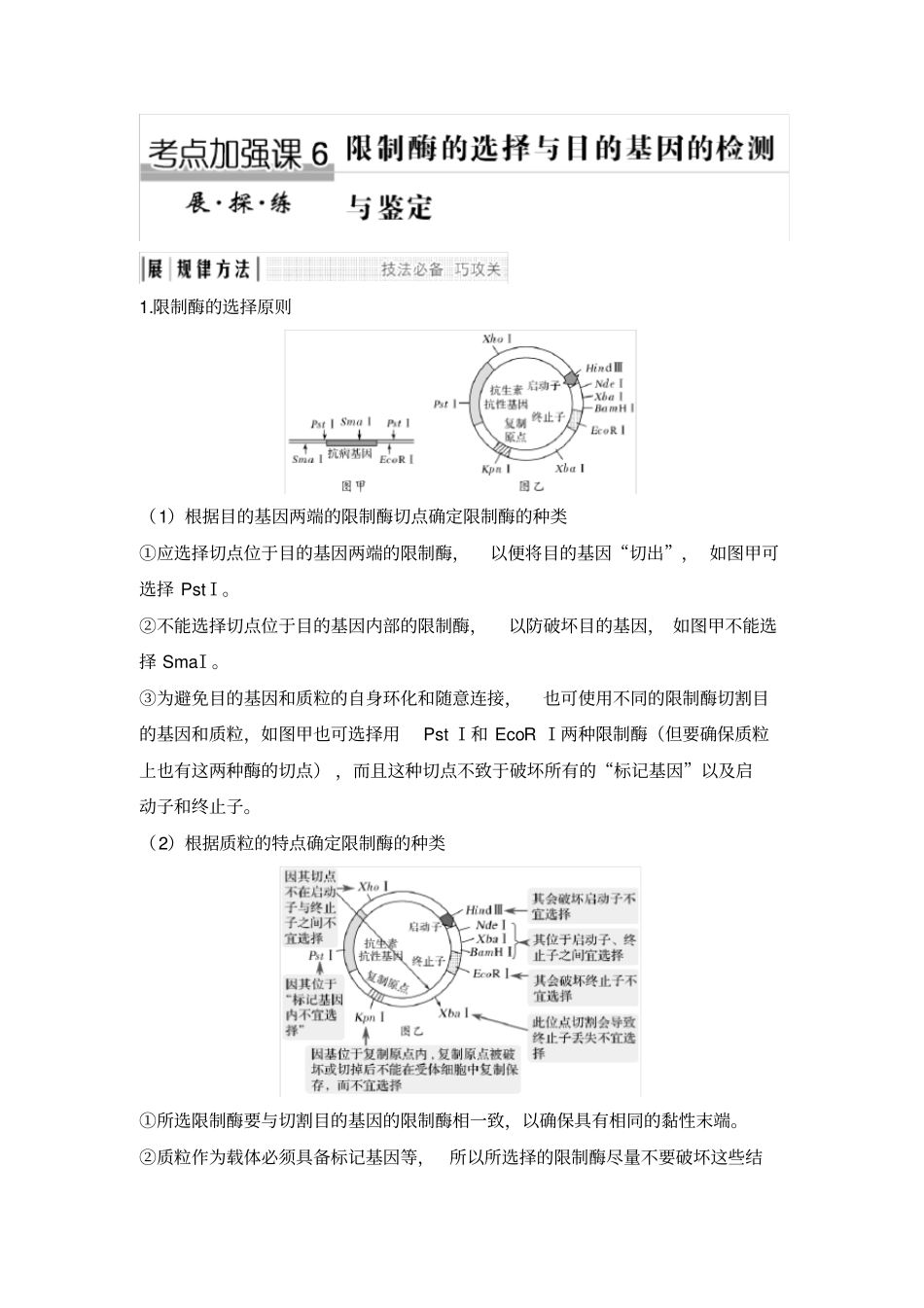 考点加强课6限制酶的选择与目的基因的检测与鉴定_第1页