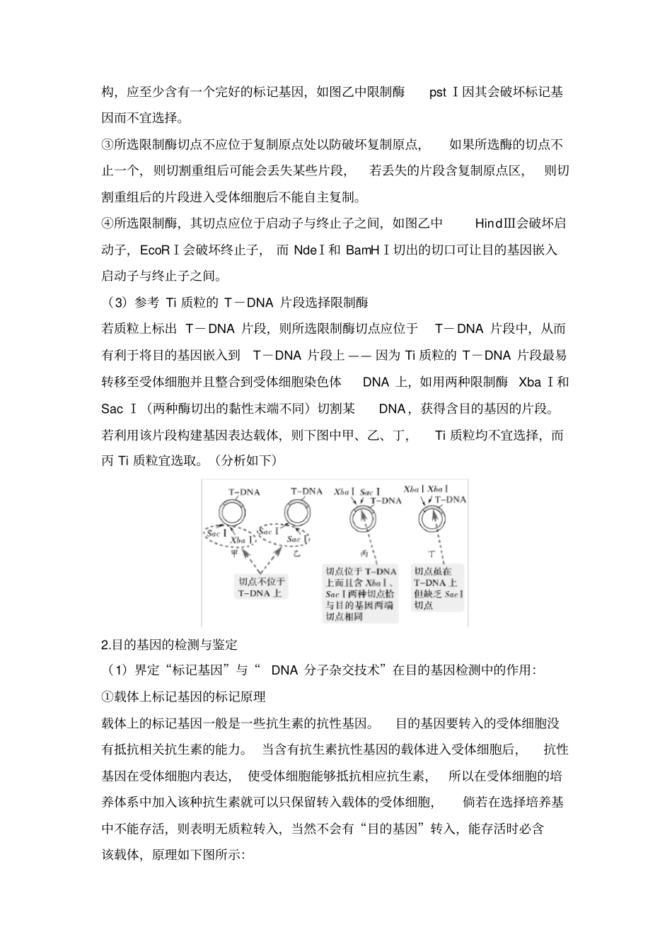 考点加强课6限制酶的选择与目的基因的检测与鉴定_第2页