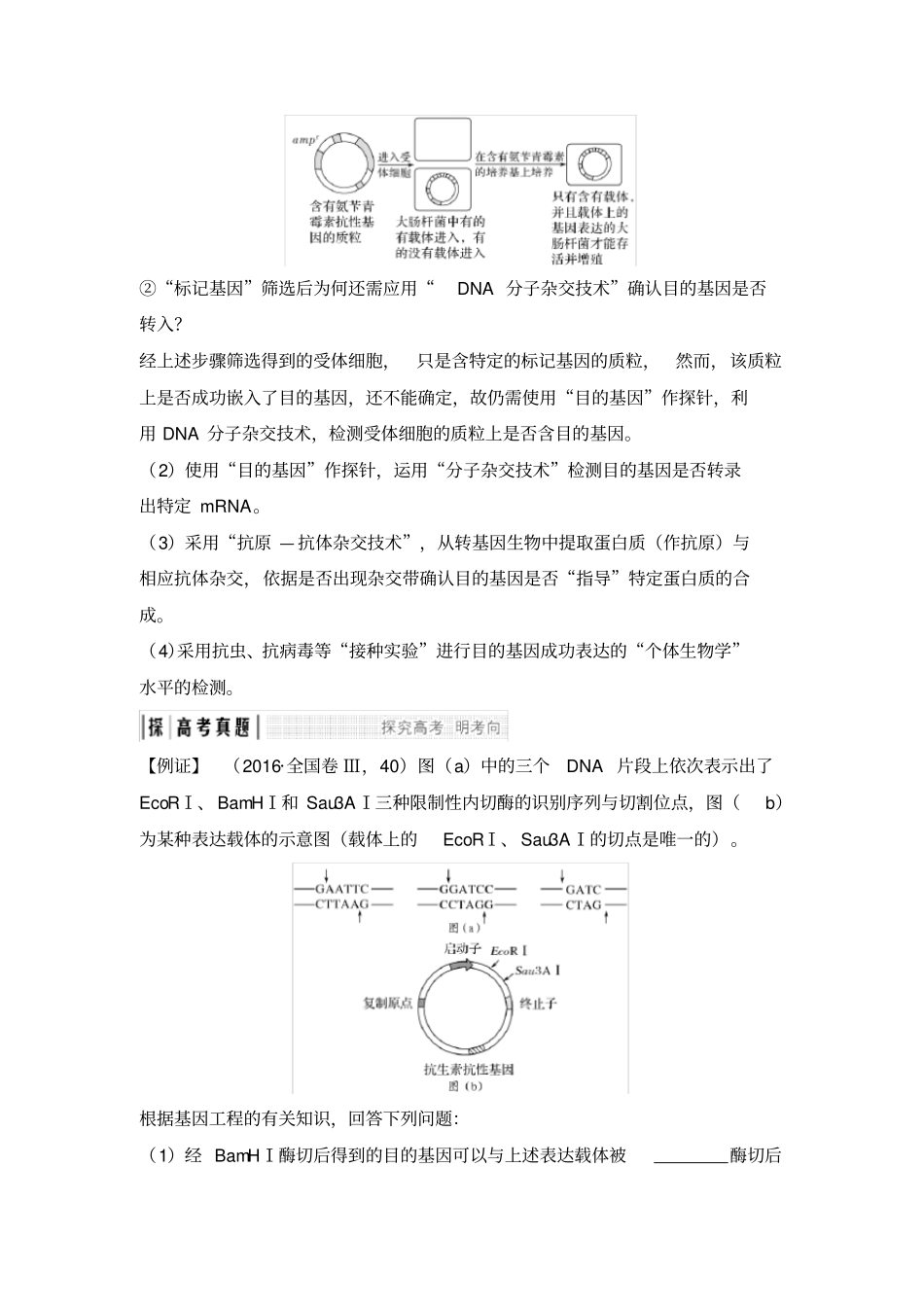 考点加强课6限制酶的选择与目的基因的检测与鉴定_第3页