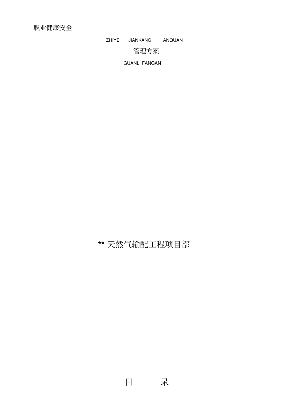 职业健康安全管理施工方案_第1页