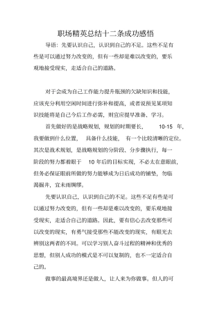职场精英总结十二条成功感悟